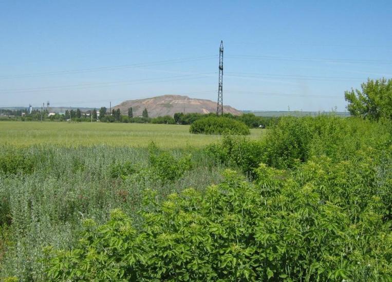 Першотравенськ з panoramio.com - Першотравенск