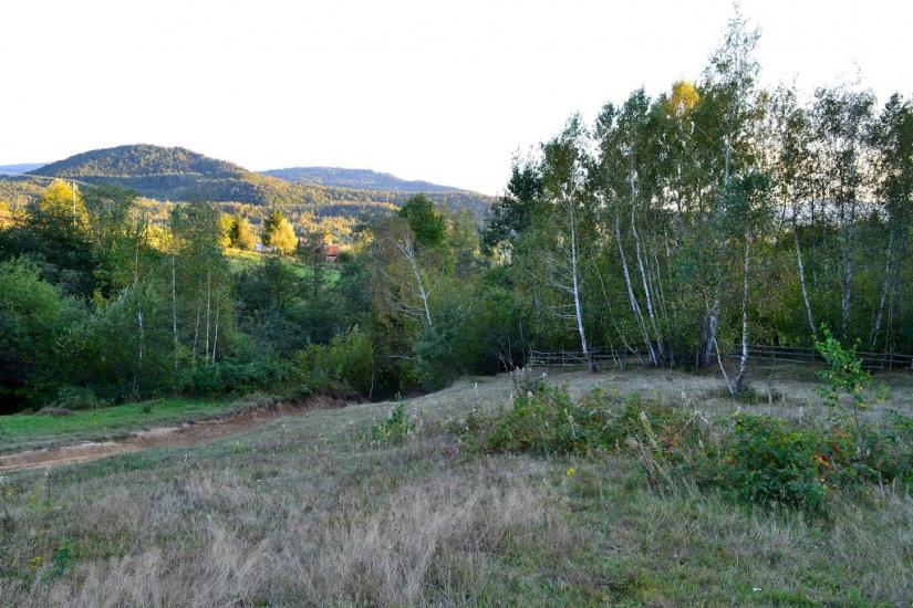 Люта з panoramio.com - Люта