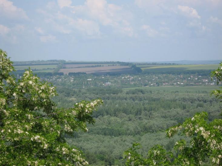 Подвір'ївка з panoramio.com - Подворьевка