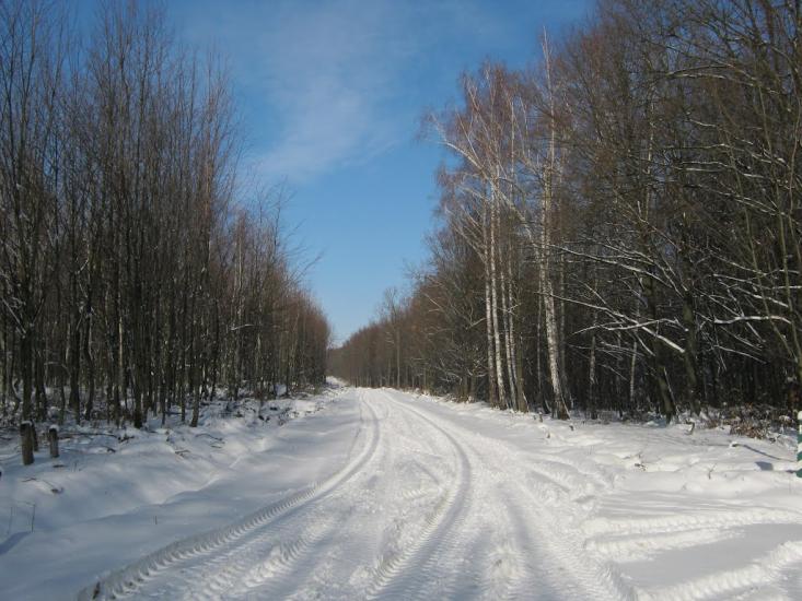Чудинівці з panoramio.com - Чудиновцы