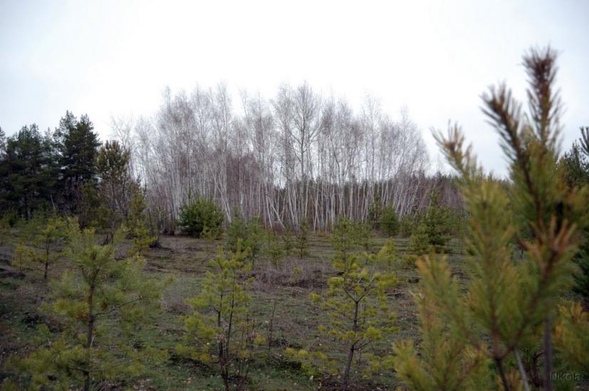 Воронове з panoramio.com - Воронове