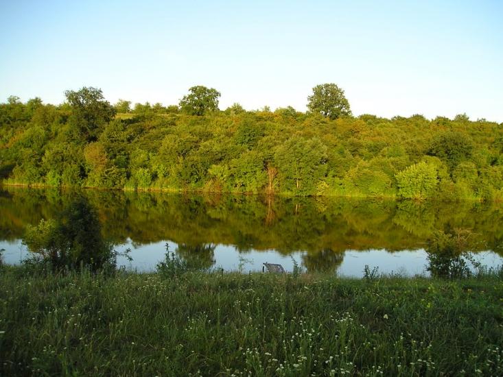 Журівка з panoramio.com - Zhurivka