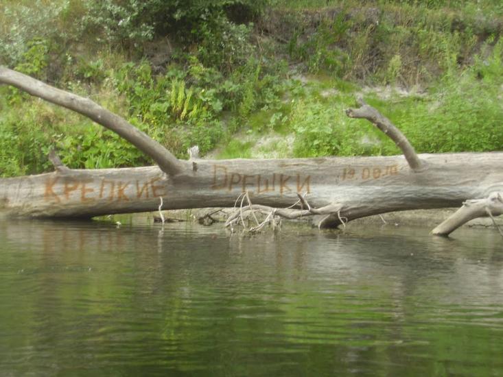 Саранчова Долина з panoramio.com - Saranchova Dolyna