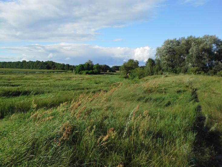 Скригалівка з panoramio.com - Скригалівка
