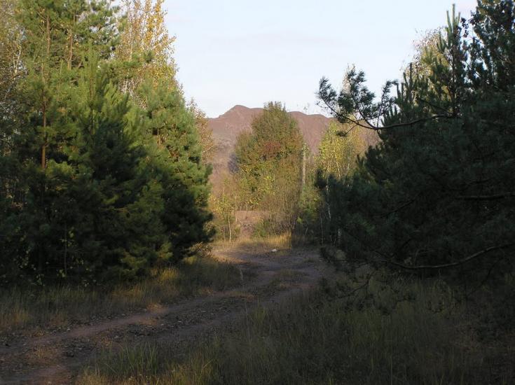 Жупанівка з panoramio.com - Жупановка