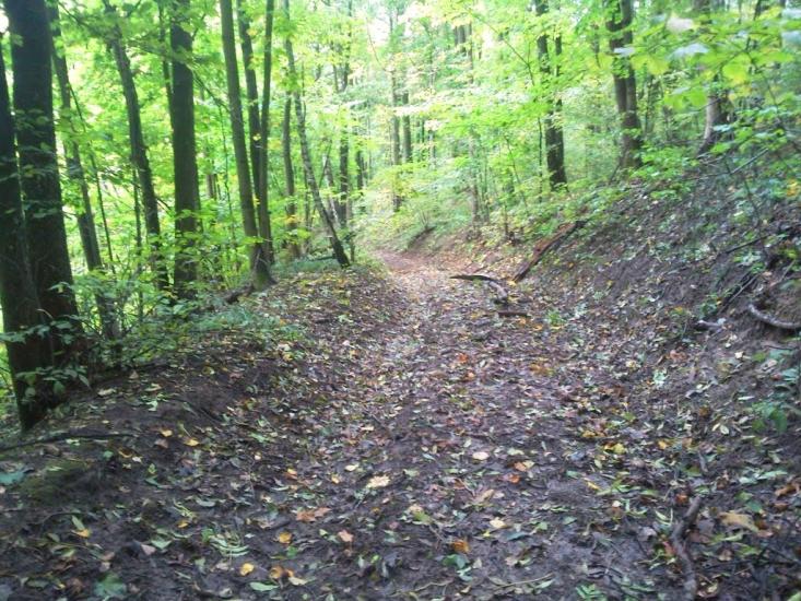 Кияниця з panoramio.com - Кияница