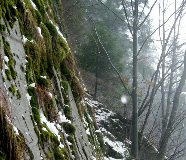 Усть-Чорна з panoramio.com - Усть-Чорна