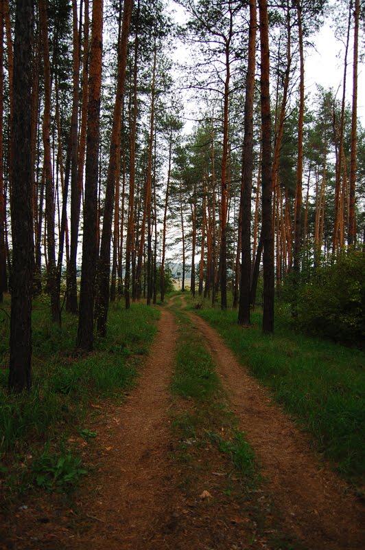 Левківка з panoramio.com - Левковка