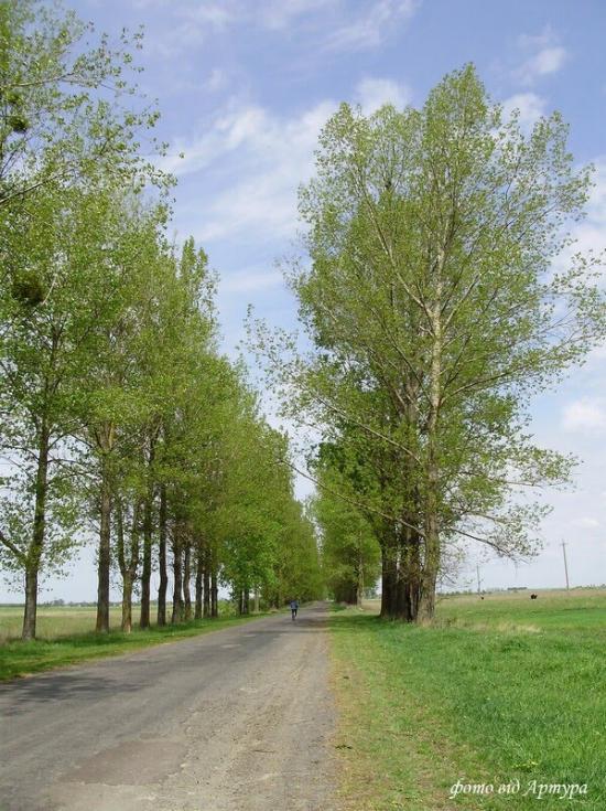 Звози з panoramio.com - Zvozy