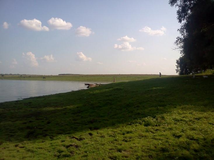 Брусилів з panoramio.com - Брусилов