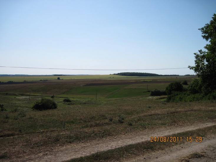 Галузинці з panoramio.com - Галузинцы