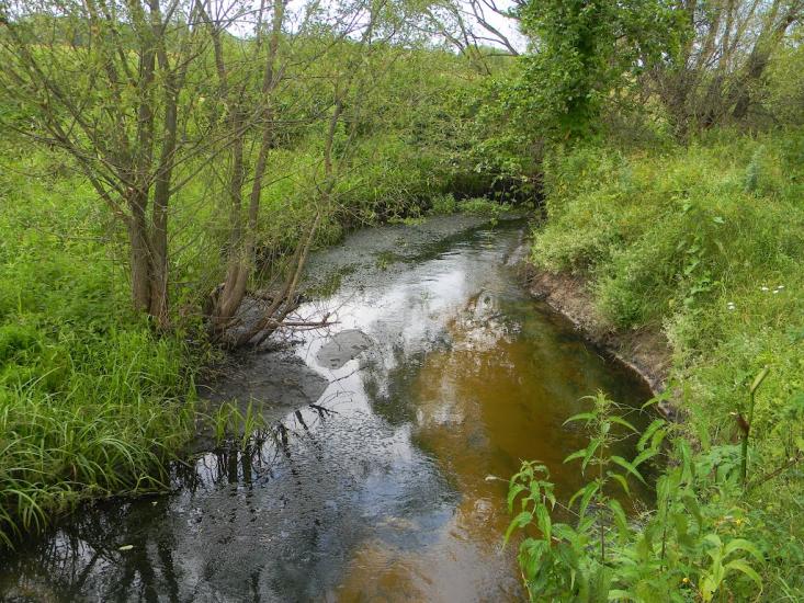 Хрипівка з panoramio.com - Хрипівка