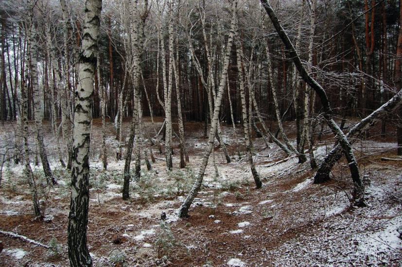 Воронове з panoramio.com - Воронове