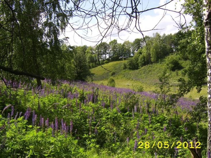 Іваньків з panoramio.com - Ivankiv