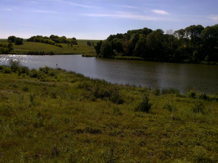 Писарівка з panoramio.com - Писарівка