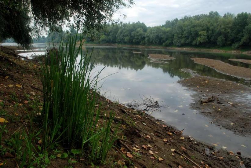 Соловка з panoramio.com - Соловка