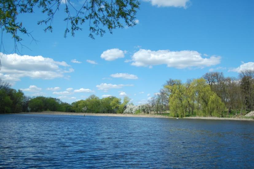 Руда з panoramio.com - Руда