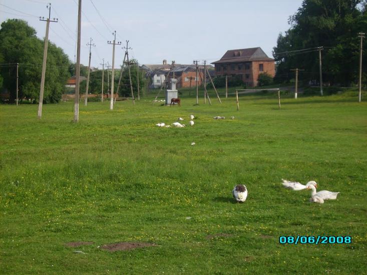 Жовчів з panoramio.com - Zhovchiv