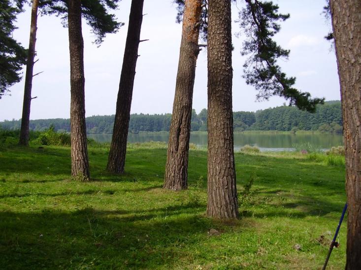 Іволжанське з panoramio.com - Иволжанское