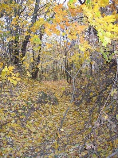 Балико-Щучинка з panoramio.com - Балыко-Щучинка