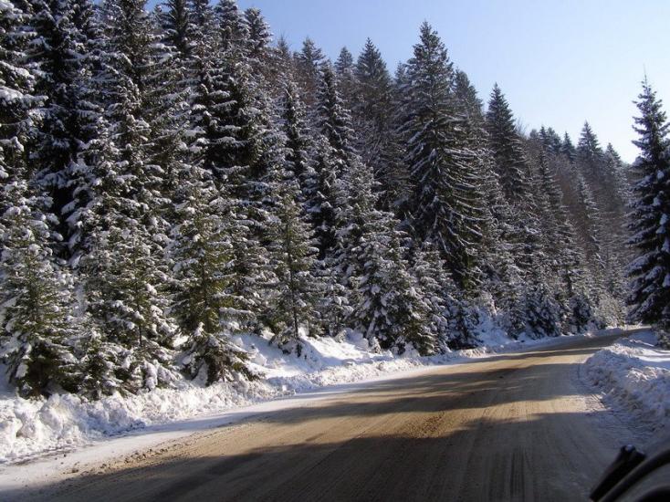 Стригальня з panoramio.com - Strygalnya