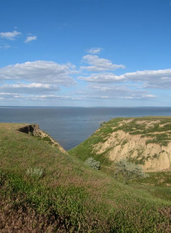 Садове з panoramio.com - Садове