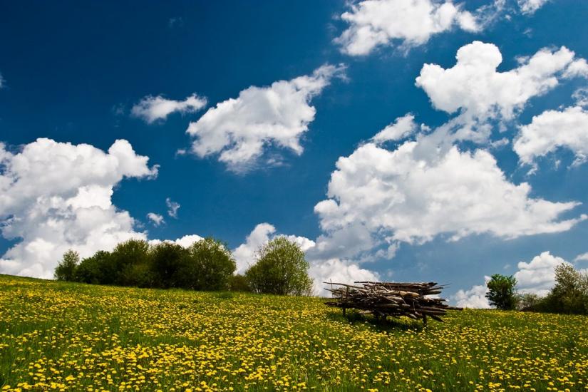 Козьова з panoramio.com - Козева