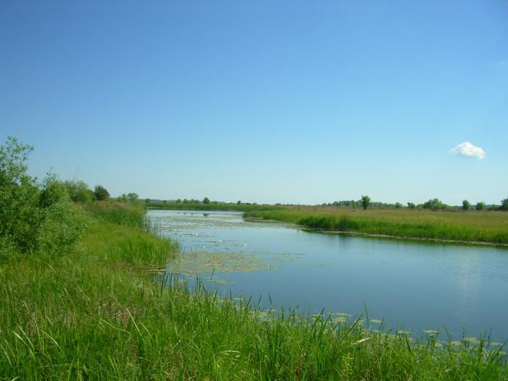 Коленці з panoramio.com - Коленці