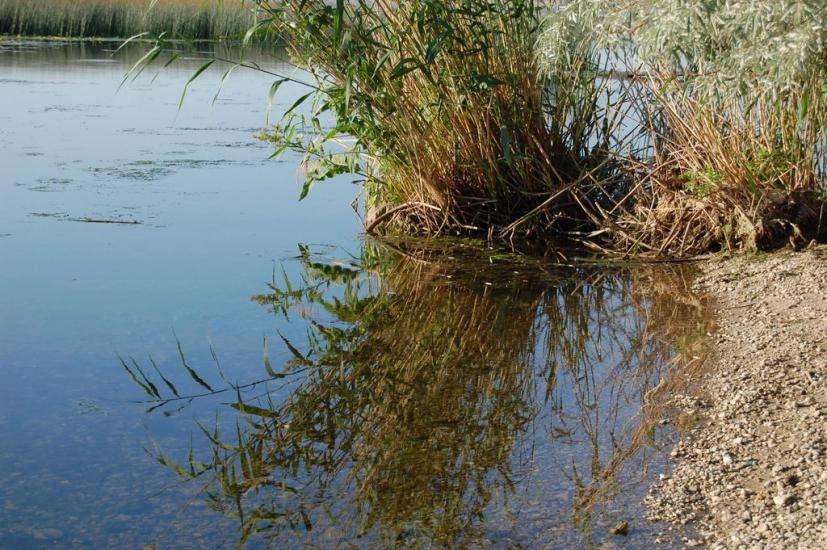 Баловне з panoramio.com - Баловное