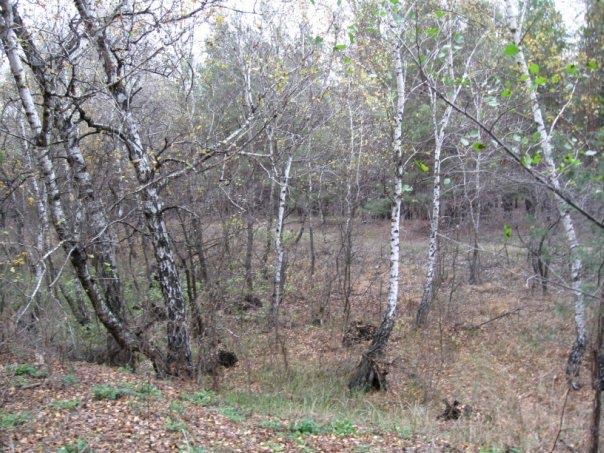 Воронове з panoramio.com - Воронове