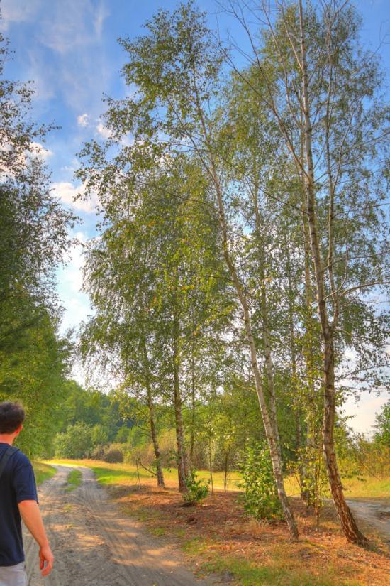 Перешпа з panoramio.com - Перешпа
