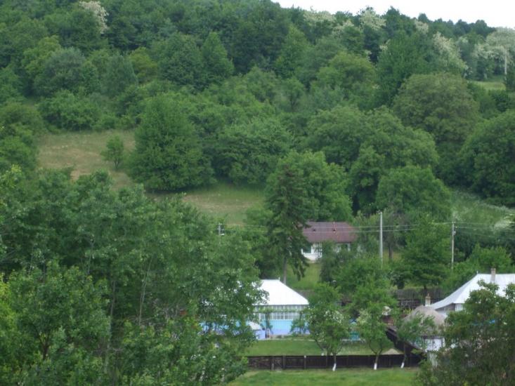 Могилівка з panoramio.com - Могилевка