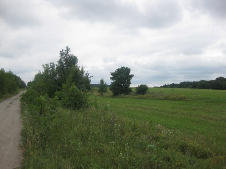 Садки з panoramio.com - Садки