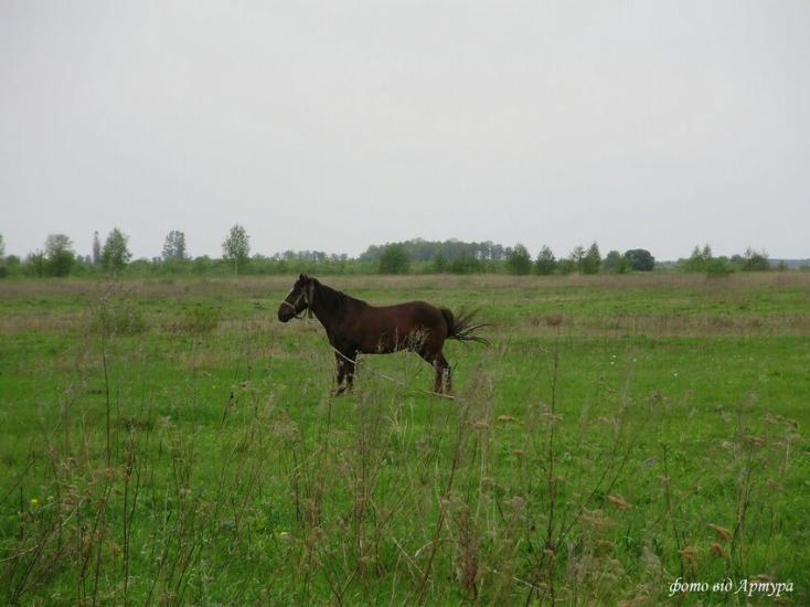 Звози з panoramio.com - Zvozy