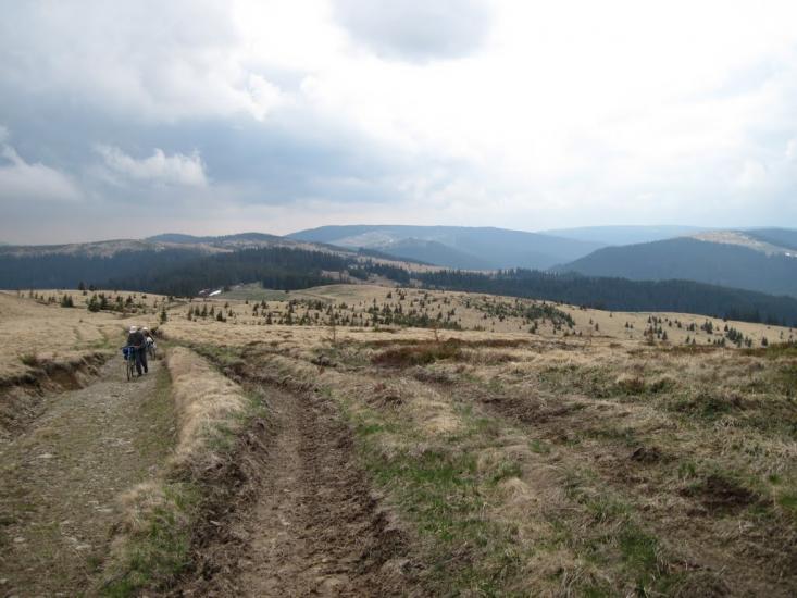 Голошина з panoramio.com - Голошина