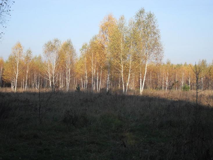 Заудайка з panoramio.com - Заудайка