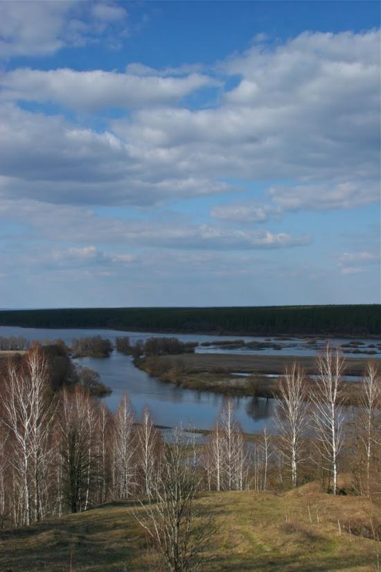 Радичів з panoramio.com - Радичев