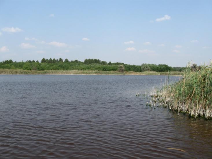Раденськ з panoramio.com - Radensk