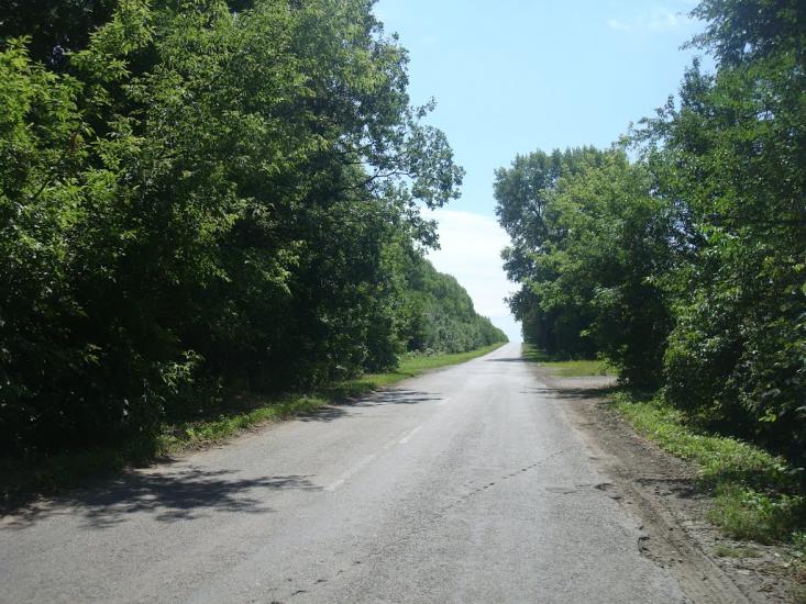 Баламутівка з panoramio.com - Баламутівка