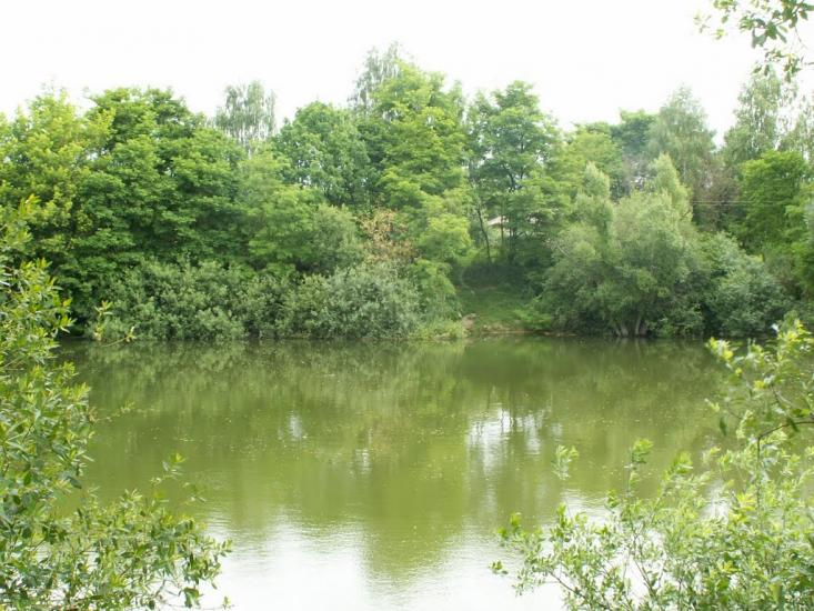 Овруч з panoramio.com - Овруч