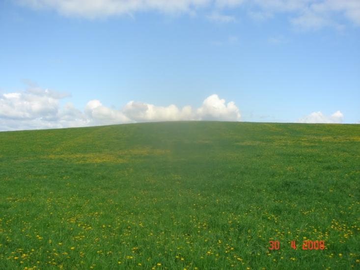 Кошляки з panoramio.com - Koshlyaky