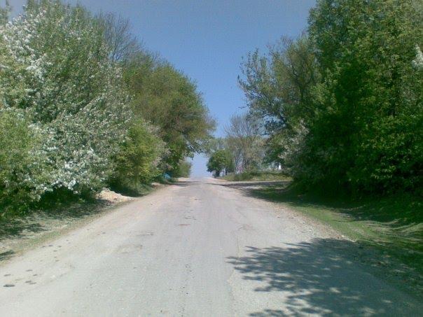 Козівка з panoramio.com - Kozivka
