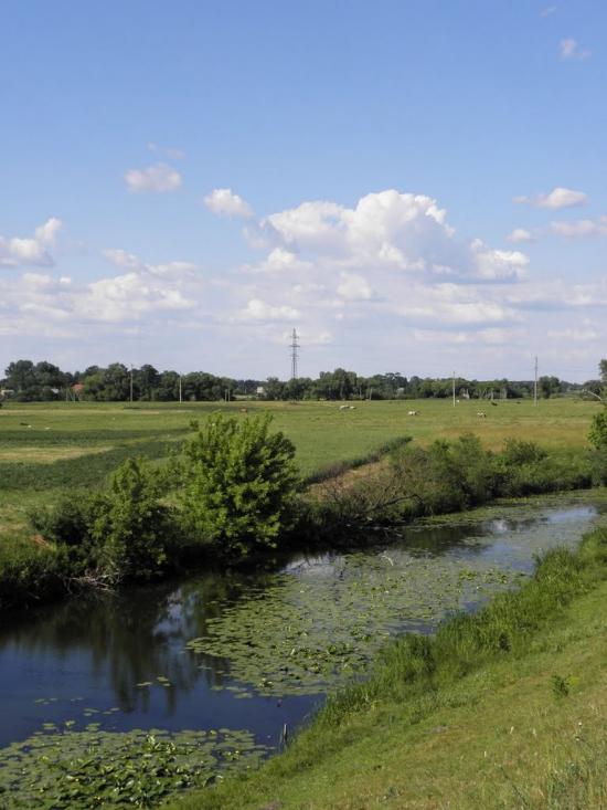 Чуднів з panoramio.com - Чуднів