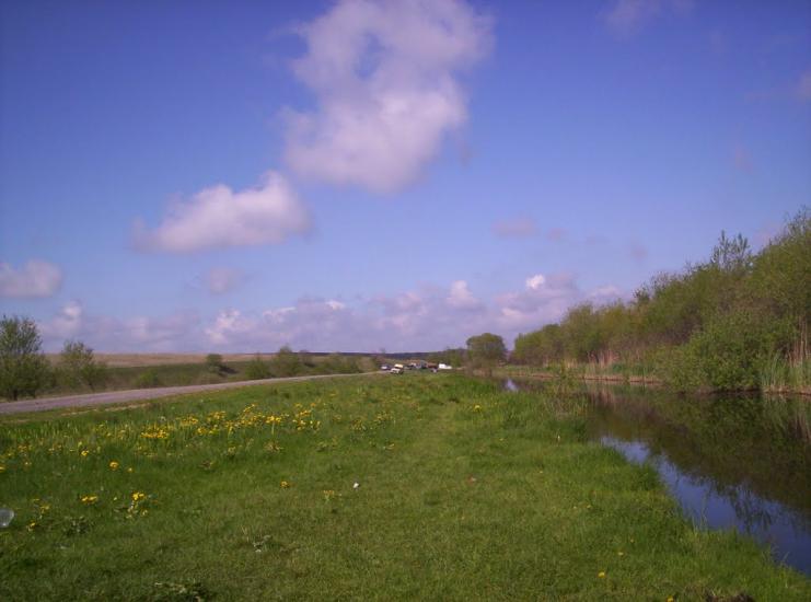 Кобзарівка з panoramio.com - Кобзарівка