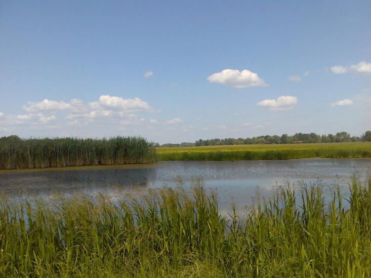 Жукин з panoramio.com - Zhukyn