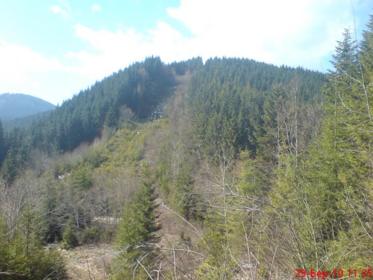 Нижня Рожанка з panoramio.com - Нижняя Рожанка