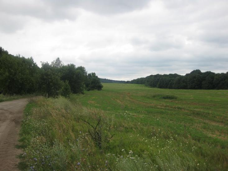 Садки з panoramio.com - Садки