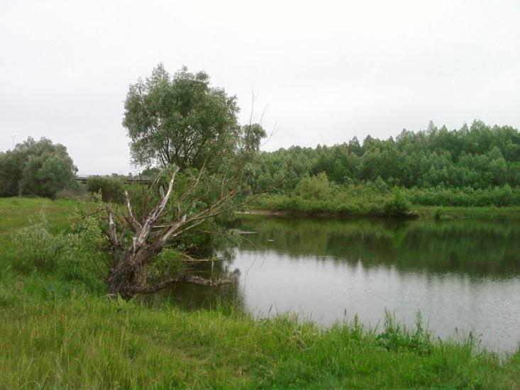 Іванків з panoramio.com - Иванков
