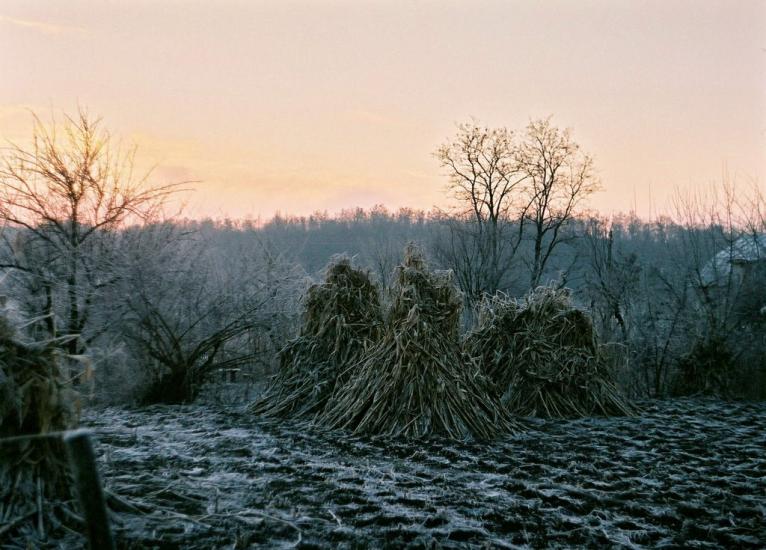 Деньги з panoramio.com - Деньги