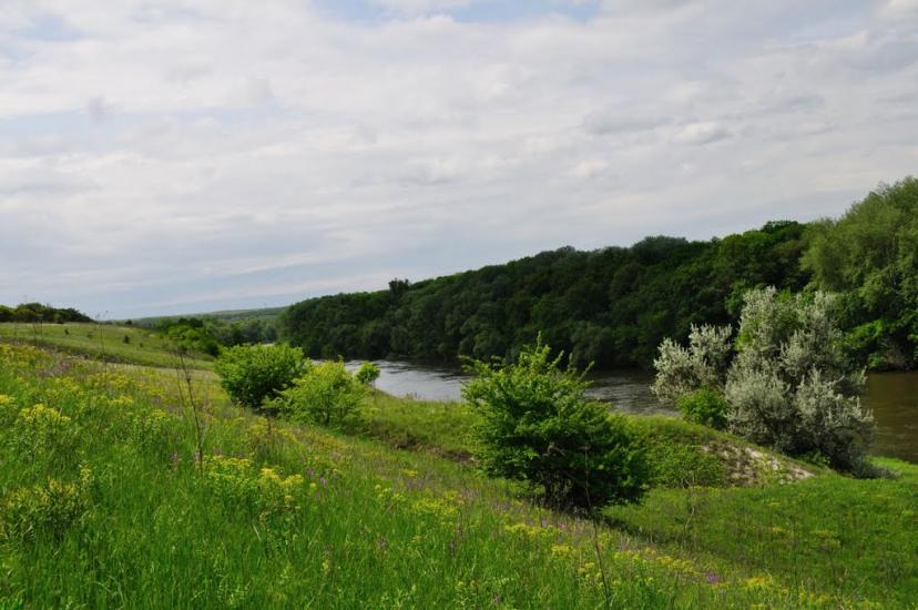 Білогорівка з panoramio.com - Белогоровка